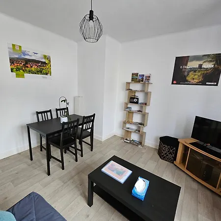 Appartement Le Nid Des Cigognes à Centre, Proche Gare, Marchés De Noël *