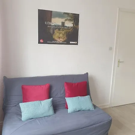 Le Nid Des Cigognes A Centre, Proche Gare, Marches De Noel * 科尔马